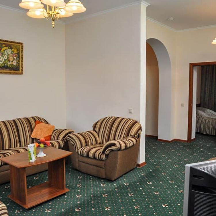 Гостиная в 2 местном 2 комнатном Люксе, Корпус 2 санатория Димитрова в Кисловодске